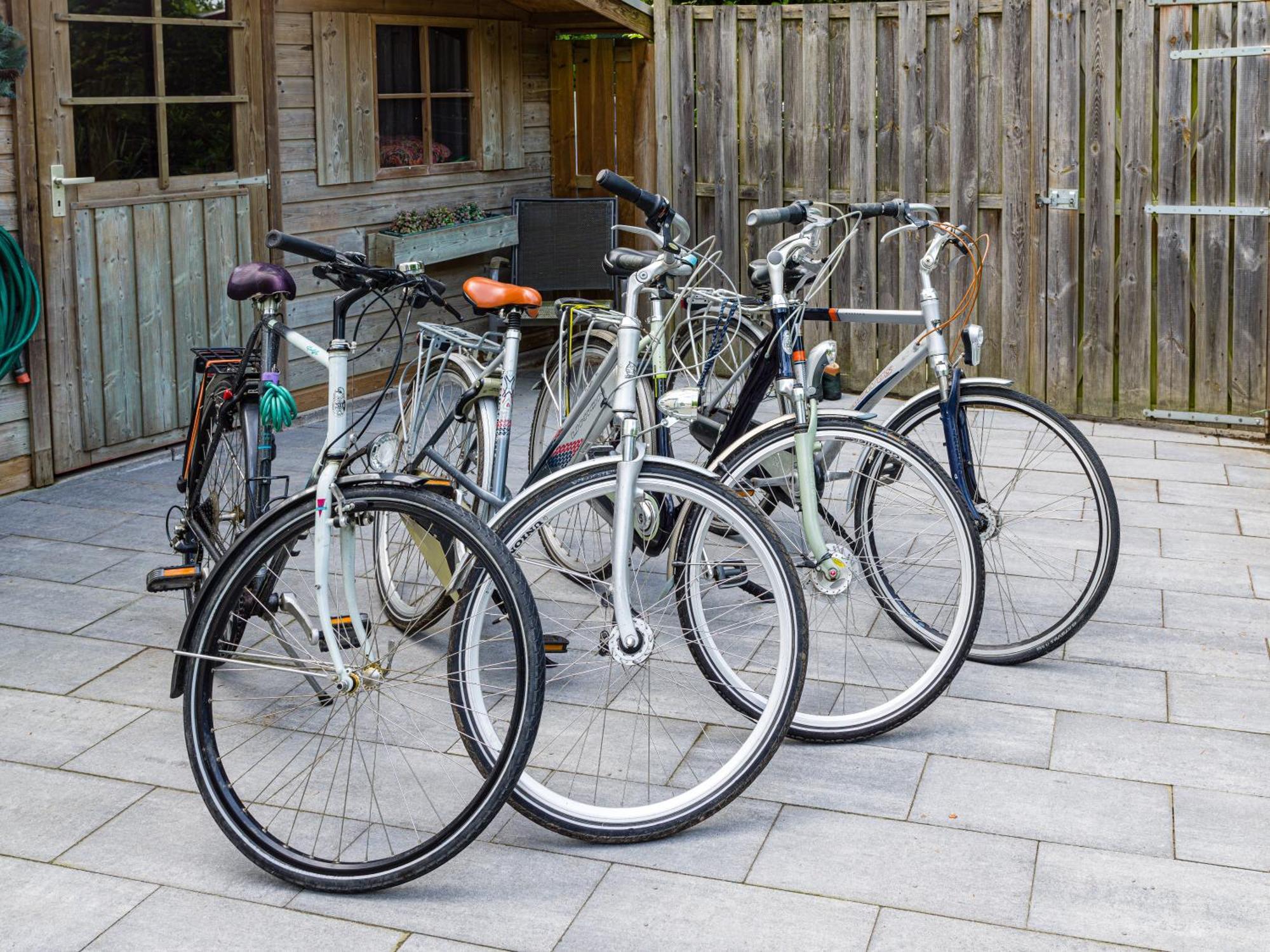 Cozy & Spacious Place On A Quiet Spot In The Middle Of The Netherlands With Free Use Of 2 Women'S And 2 Men'S Bikes Plus Child Seat Putten Exterior foto