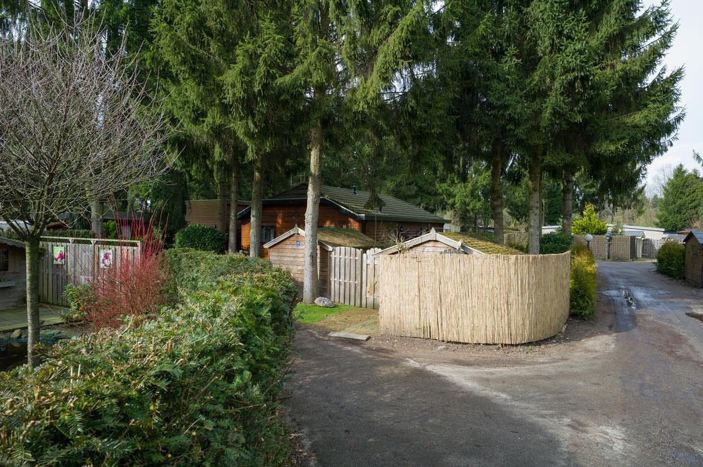 Cozy & Spacious Place On A Quiet Spot In The Middle Of The Netherlands With Free Use Of 2 Women'S And 2 Men'S Bikes Plus Child Seat Putten Exterior foto